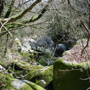 St Herbot, Loqueffret, chaos