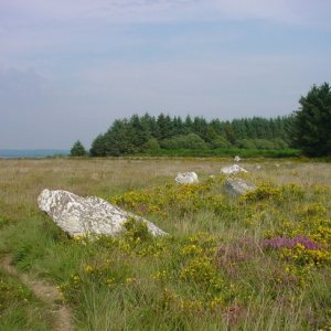 Noces de pierres, landes, Brasparts