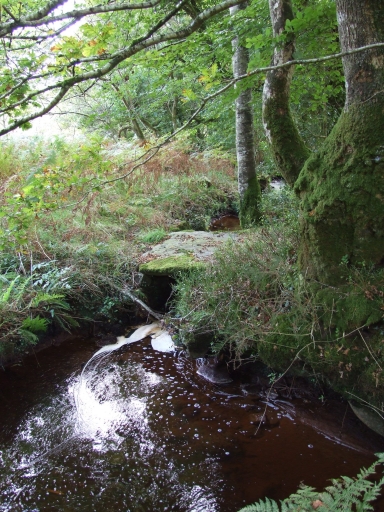 Au bourg, à l'ouest, petit pont sur le ruisseau du Roudouhir